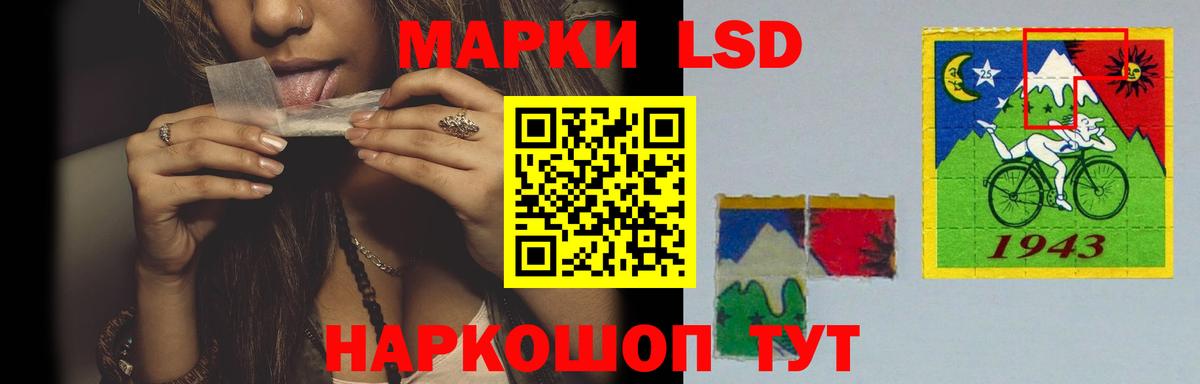 blacksprut ссылка  Вход с VPN  LSD-25 экстази ecstasy  Грозный  ЛСД экстази кислота 