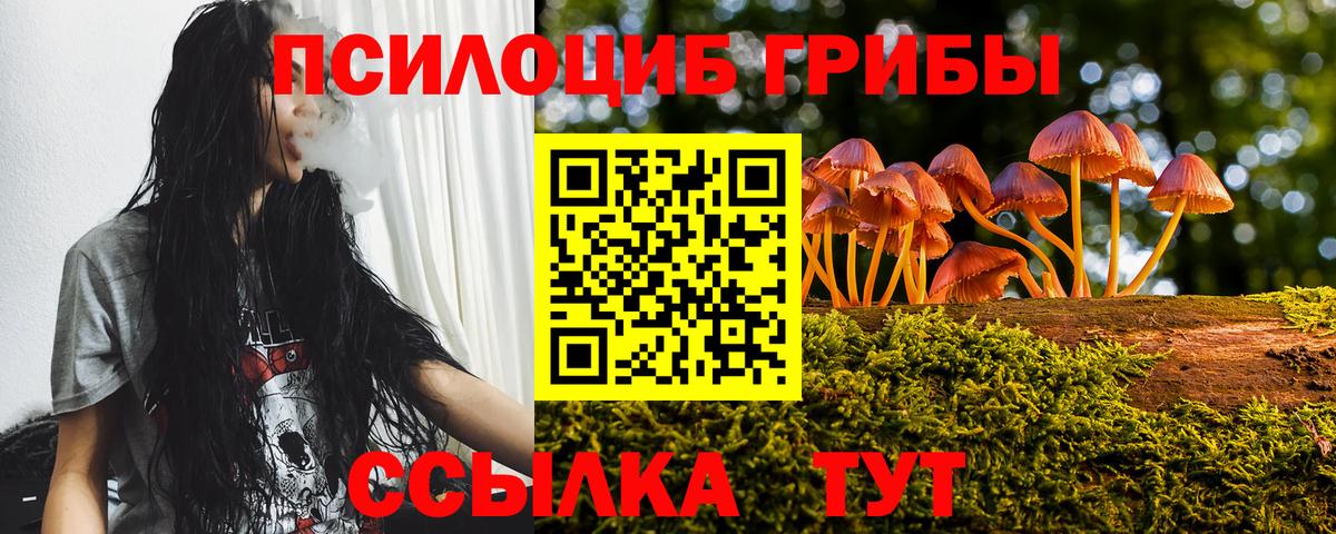 Грозный  Галлюциногенные грибы Cubensis  Вход с VPN 